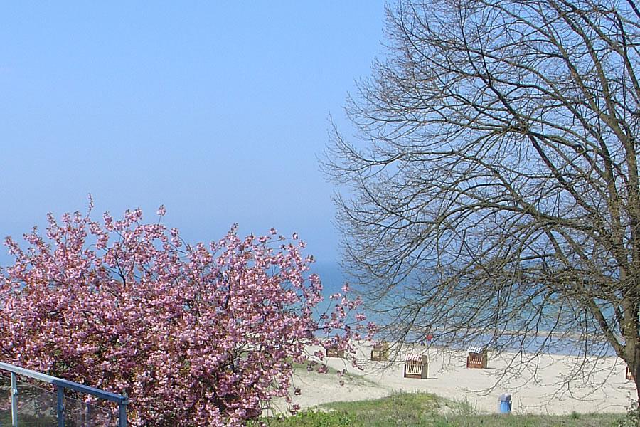 Villa Hansa Am Meer Тіммендорфер-Штранд Екстер'єр фото